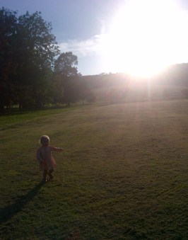 Brighton and Hove-20120818-00584